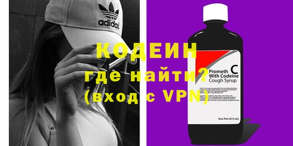 крисы Абаза