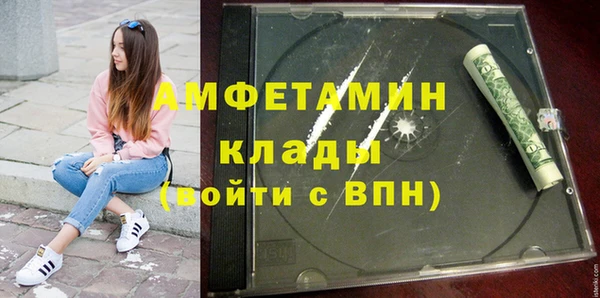 крисы Абаза