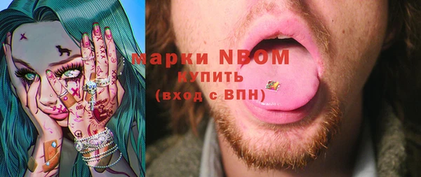 крисы Абаза