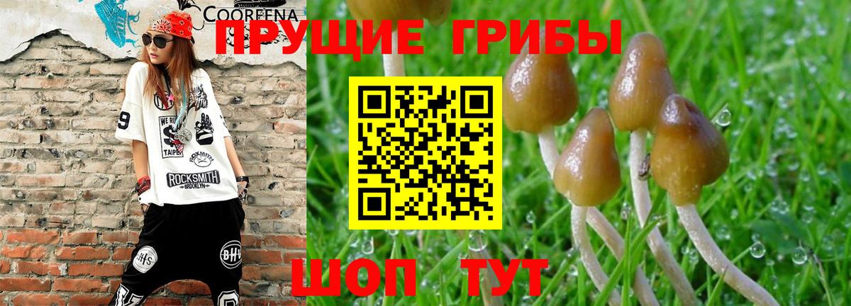 Североморск  Галлюциногенные грибы мухоморы  Галлюциногенные грибы Magic Shrooms  Вход с VPN 