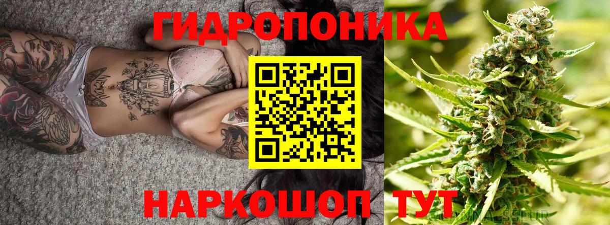 Конопля VHQ Североморск